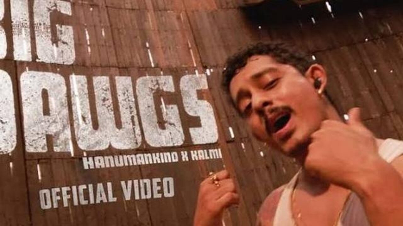 Pajeet rappers attacked by angry wasps