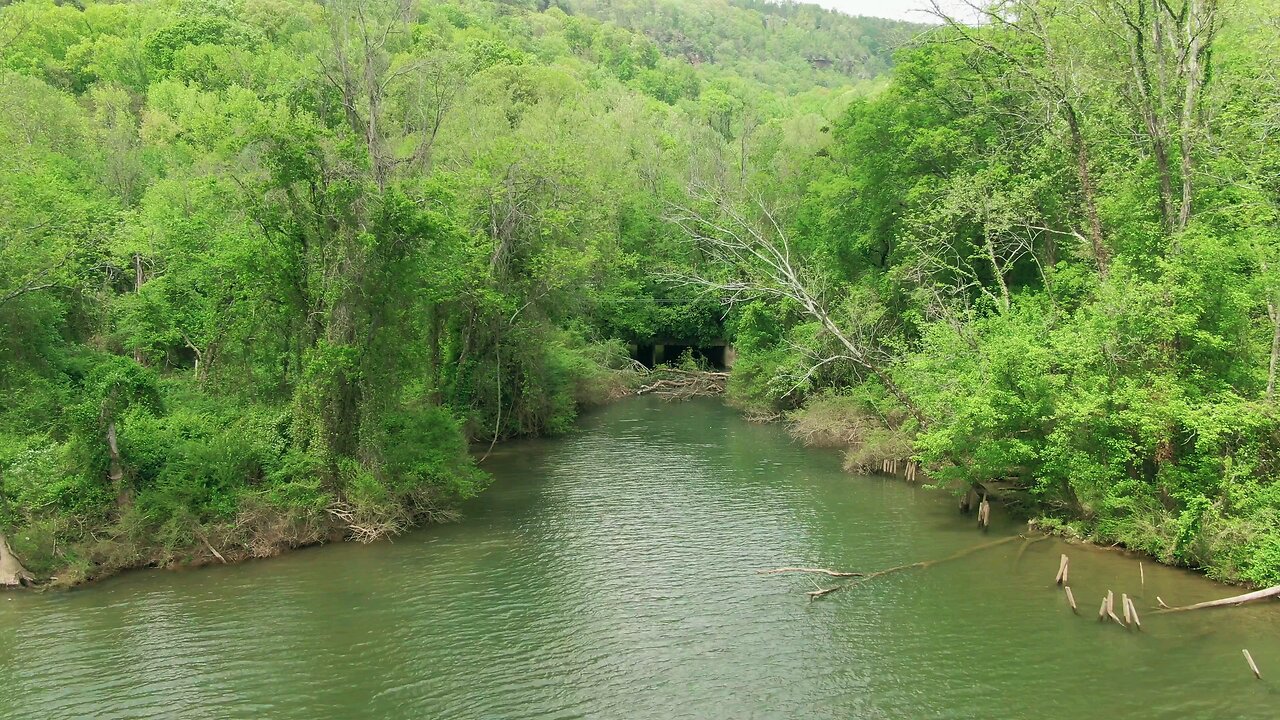 Beautiful Green Wide River