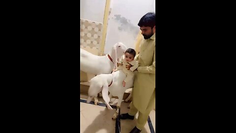 Eid ul-Zuha 2025
