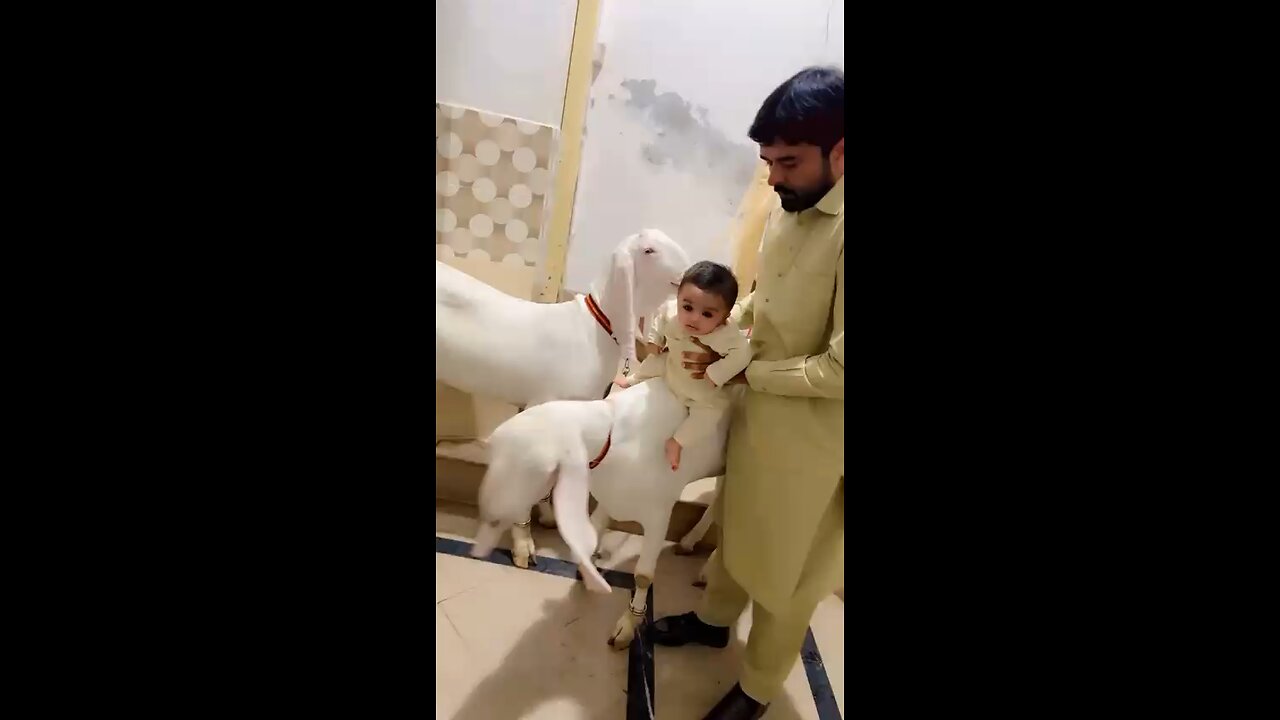 Eid ul-Zuha 2025