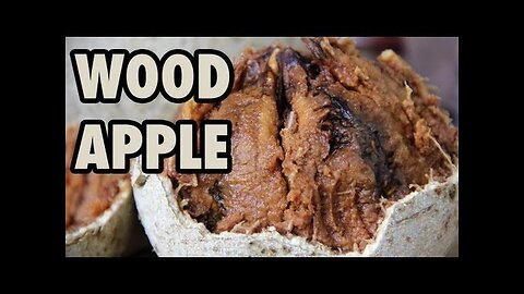 Eating a Wood Apple: Delicious Fruit with a Funky Smell!