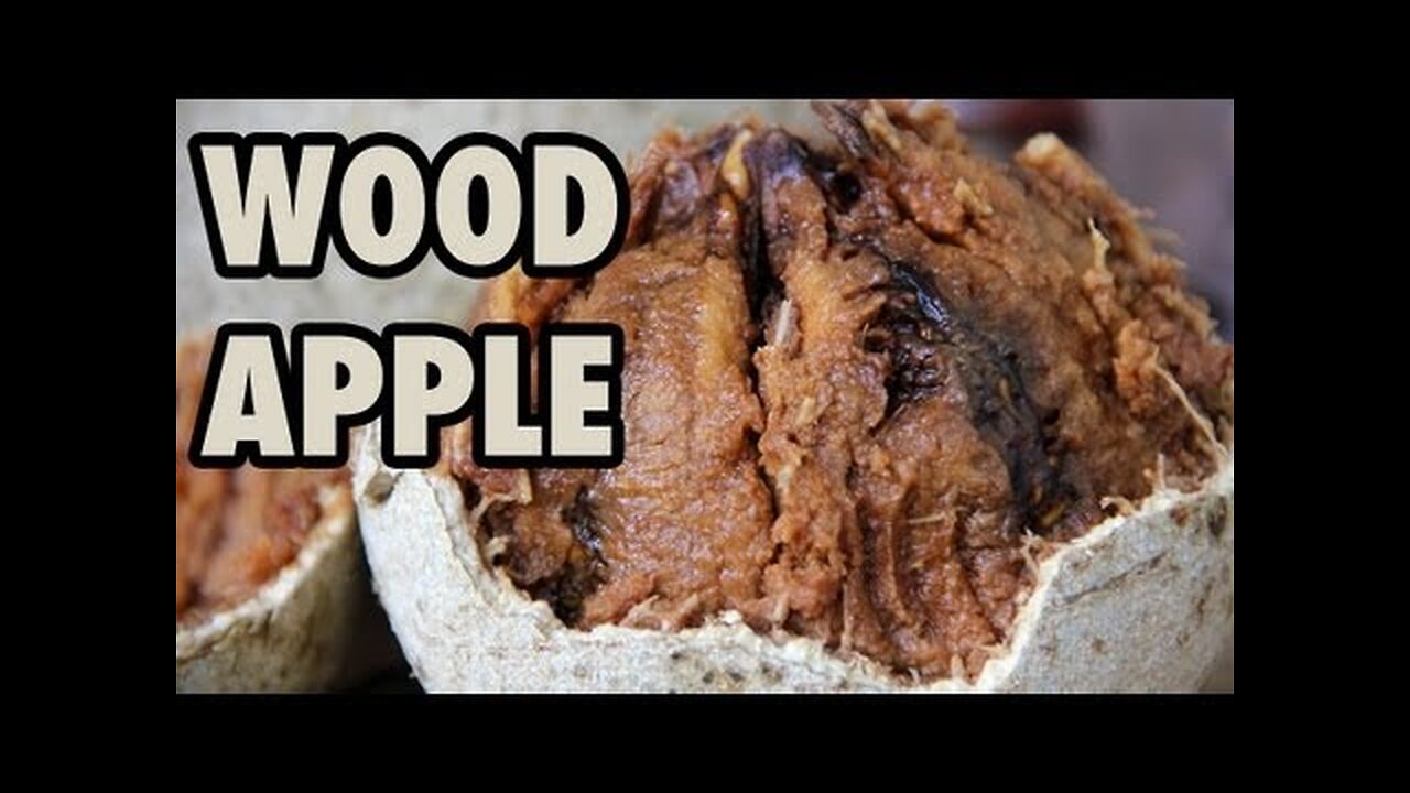 Eating a Wood Apple: Delicious Fruit with a Funky Smell!