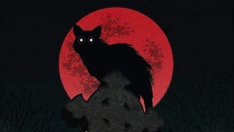 The Black Cat-Patrick Magee, Mimsy Farmer, David Warbeck-1981 IMDb 5.8/10