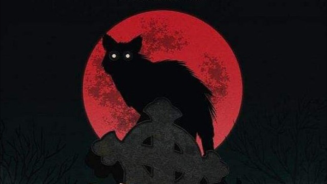 The Black Cat-Patrick Magee, Mimsy Farmer, David Warbeck-1981 IMDb 5.8/10