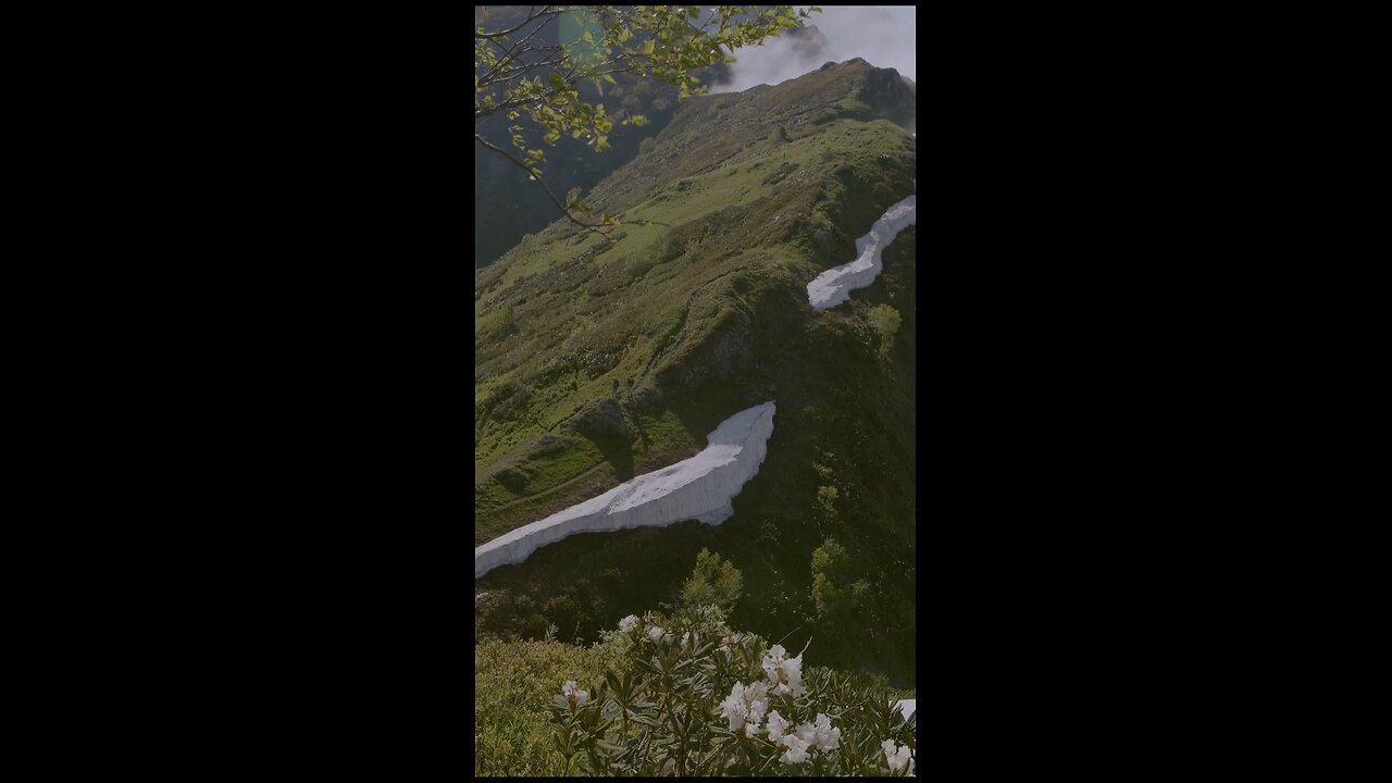 peaceful quran recitation