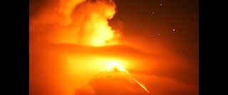 NOAH WAS 500 YEARS OLD WHEN GRAND SOLAR MINIMUM 2020-2053