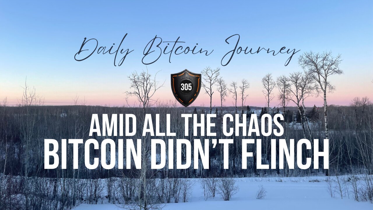 bitcoiners are relentless