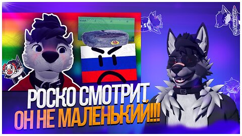 🐺 Роско смотрит Meowfurshot - it’s not THAT small