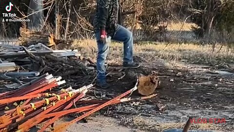Dudley trying to chop wood