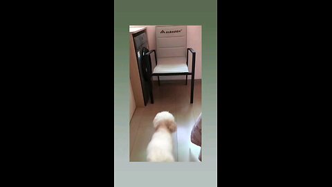 भागो लड़ाई हो गई