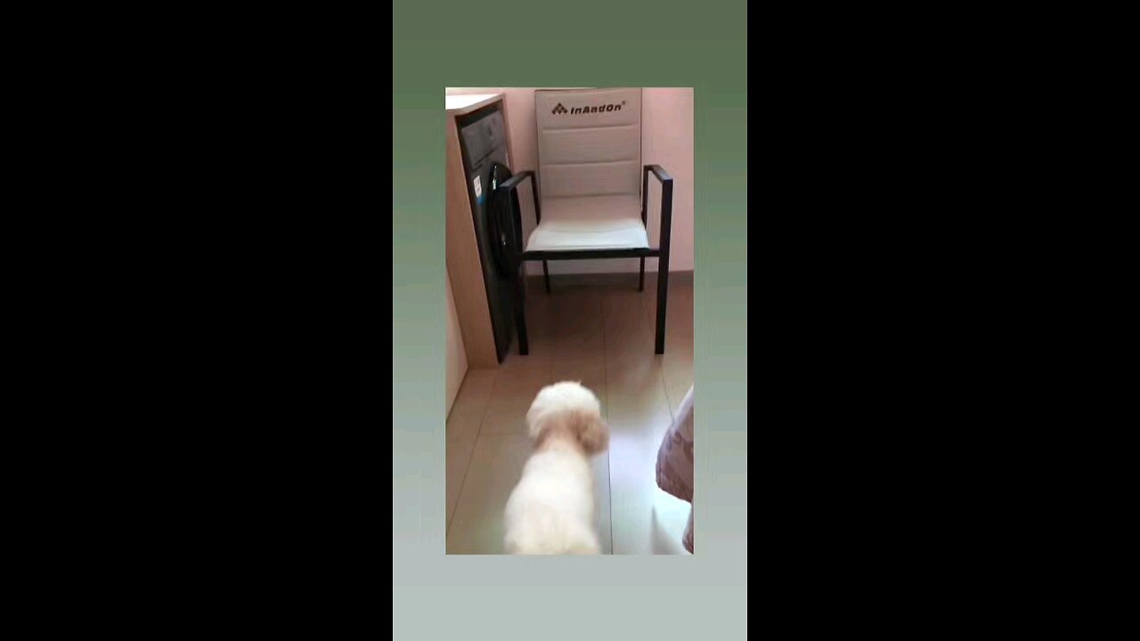 भागो लड़ाई हो गई