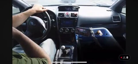 Mr_Flex re Slothpigs controlling manipulative behavior