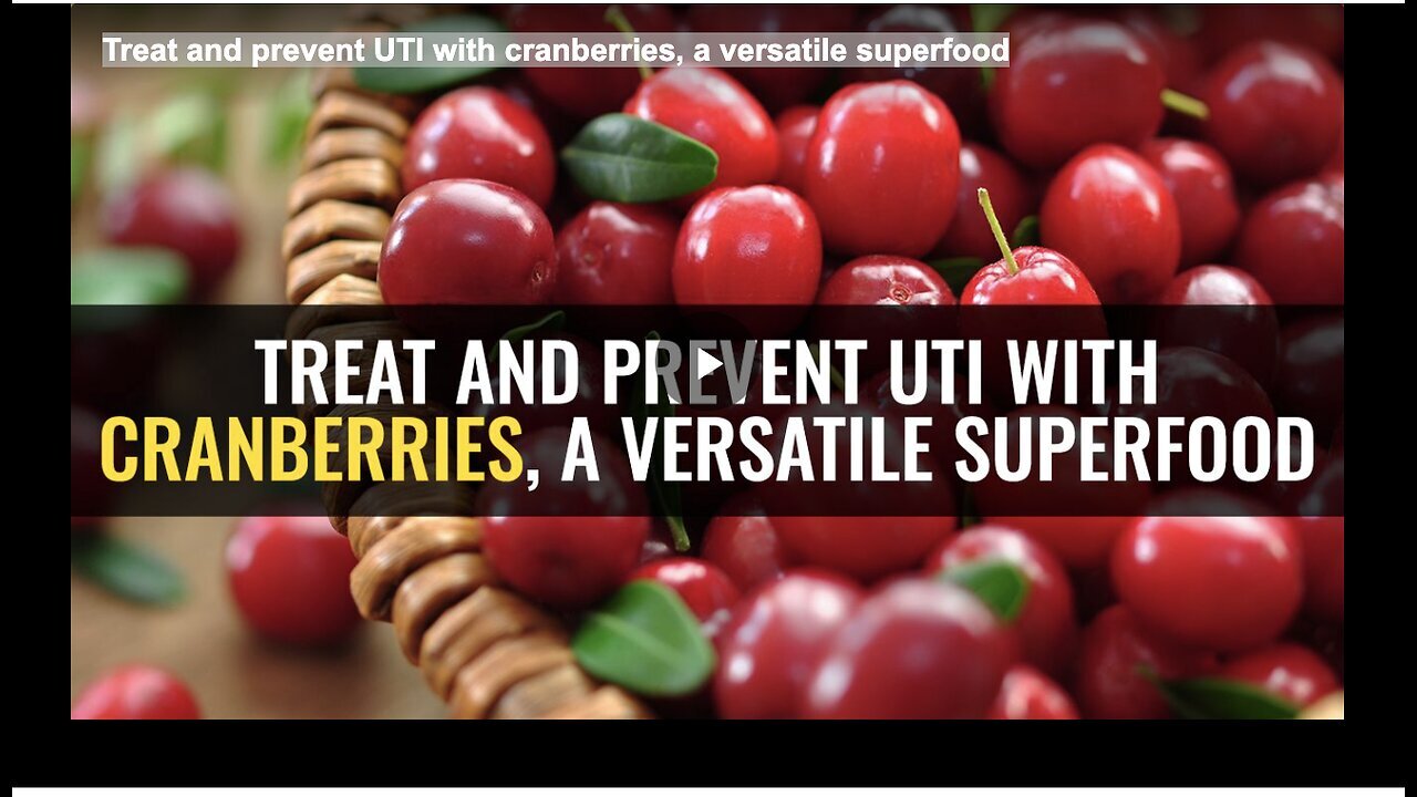 "Cranberries: A Versatile Superfood for Treating and Preventing UTI"