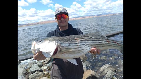 SPRING TIME FISHING For Schooly Striper On Light Tackle