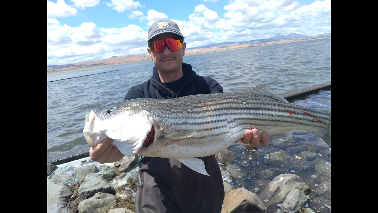 SPRING TIME FISHING For Schooly Striper On Light Tackle