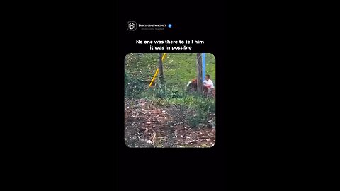 🚀 You Can Do ANYTHING — When No One Says “It’s Impossible” 💯 #NothingIsImpossible