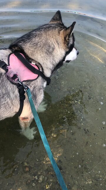 Wednesday August 6, I entered into a solemn covenant with them.