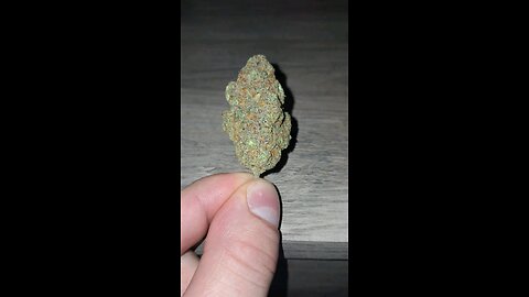 two buds in a jar on YouTube