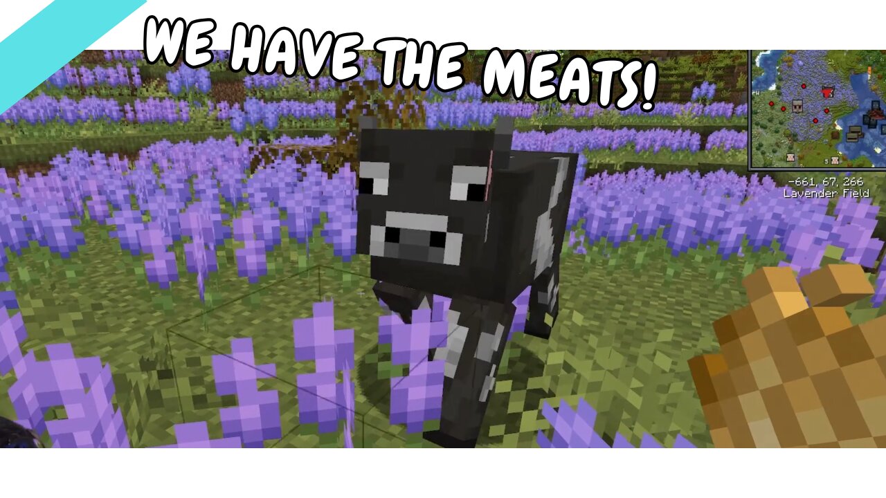Getting More Cozy In Our Forever World Minecraft and Chill
