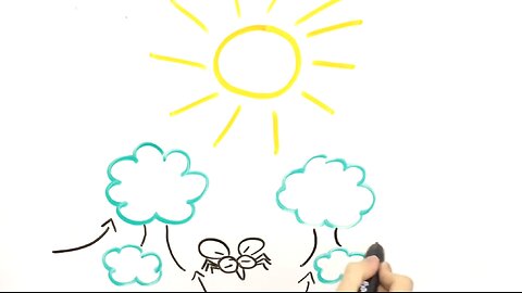 Lawn Doctor - Mosquito Control Whiteboard