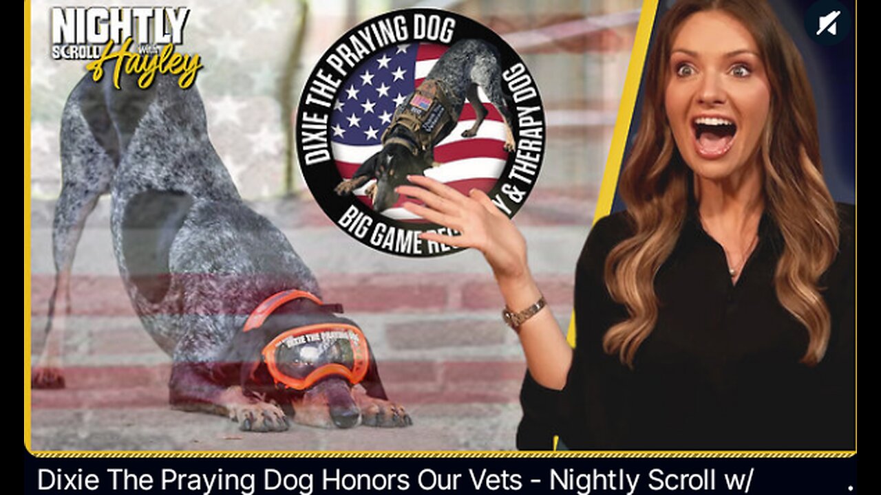 Nightly Scroll All Dogs Go To Heaven Reestream