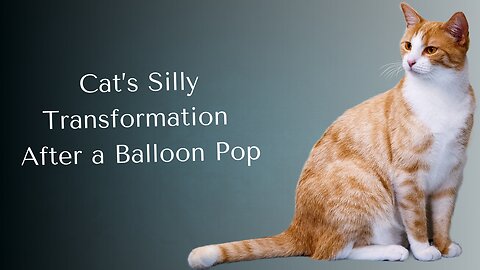 Cat’s Silly Transformation After a Balloon Pop