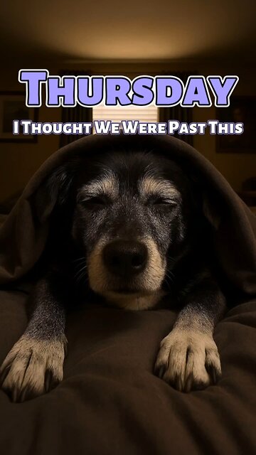 Thursday? I Thought We Were Past This.