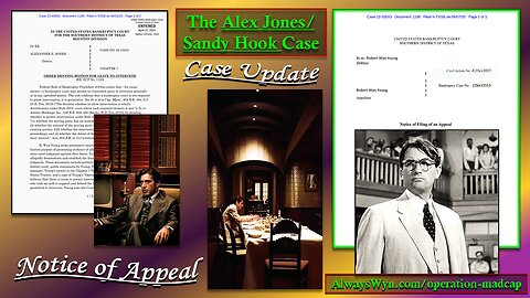 Alex Jones/Sandy Hook Case Update, Public Response to James Fetzer, PhD, and Fundraiser for Appeal