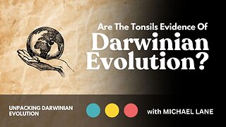 Are the Tonsils Evidence of Darwinian Evolution?