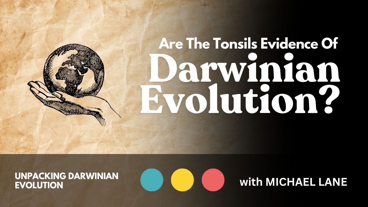 Are the Tonsils Evidence of Darwinian Evolution?