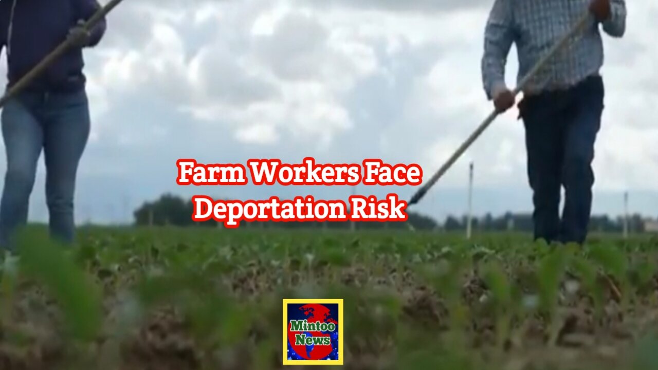 Undocumented California farm workers face deportation risk