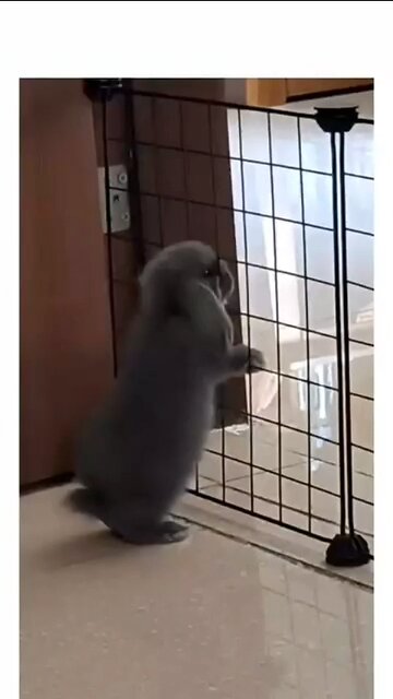 Rahul Singh short video virel please like follow 😃 dosto