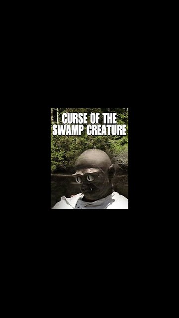 Over A Dozen ACTIVE DUTY MILITARY Working As Security Or Attending Illegals'…Gang Members' Nightclub