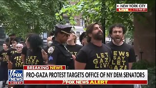 Pro Gaza Protestors Get Arrested Outside Office Of Democrat Senators