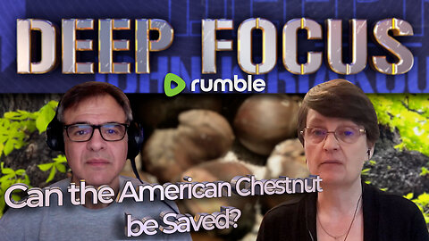 Can the American Chestnut be Saved? with Anne Petermann | DEEP FOCUS with John Kiriakou