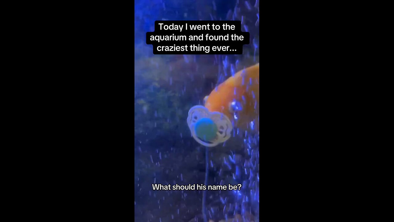 This Fish Thinks It's a Baby