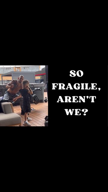 "So fragile, aren’t we?" Andrew Tate