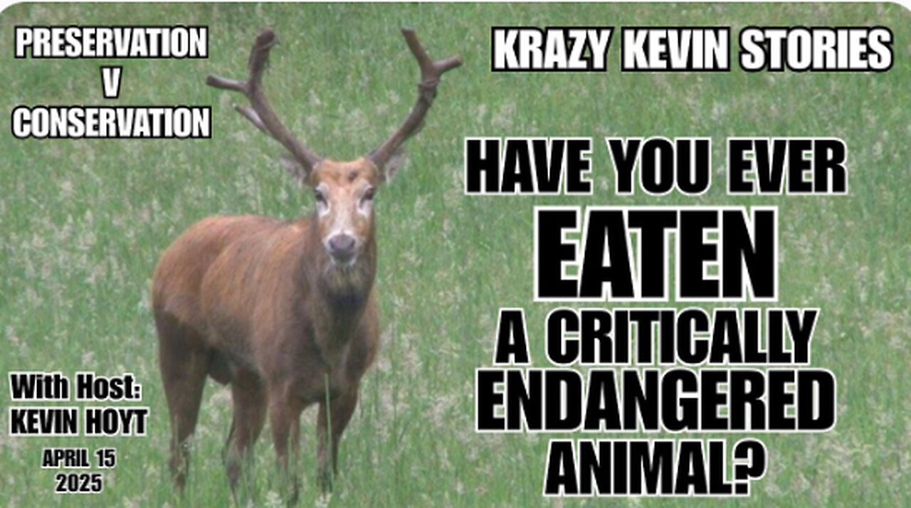 Krazy Kevin stories: NO controversy here lol, just a question Kevin Hoyt can an YES to!