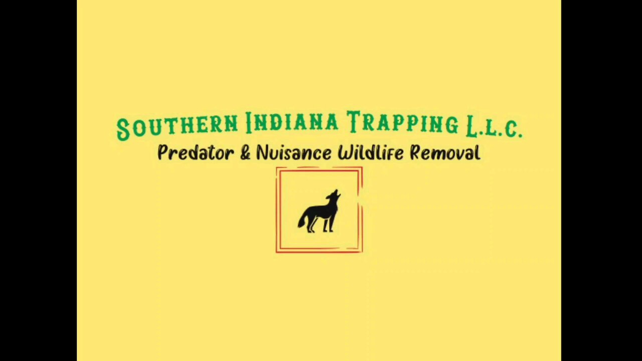 opening morning turkey hunt