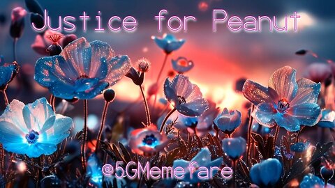 Justice for Peanut