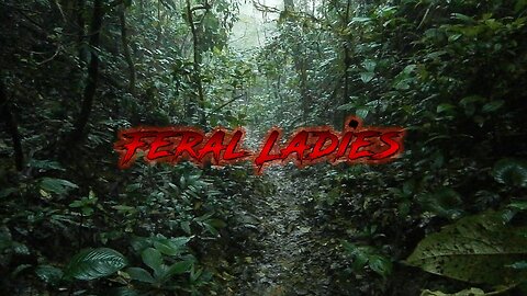 Episode 595: Feral Magic