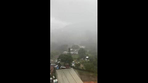 La Belleza de la Naturaleza en los Días Grises