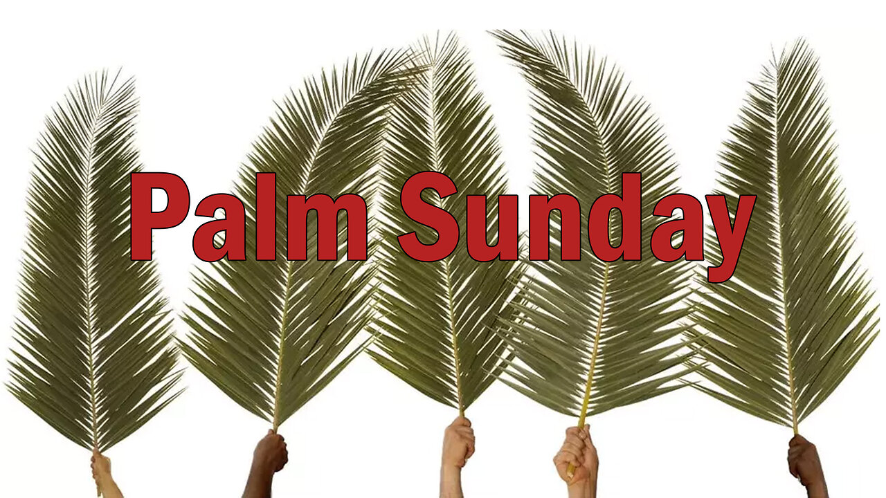 Palm Sunday: What Jesus are you Expecting?