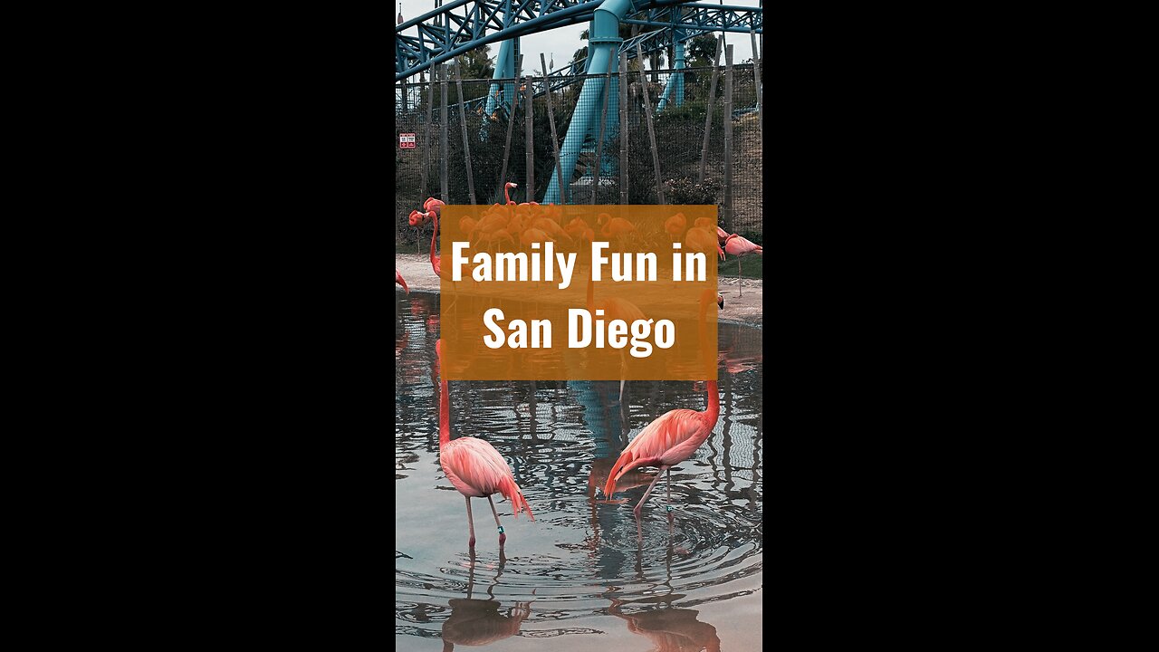 Family Fun in San Diego