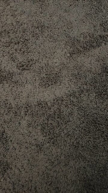 Test 5 primary and secondary