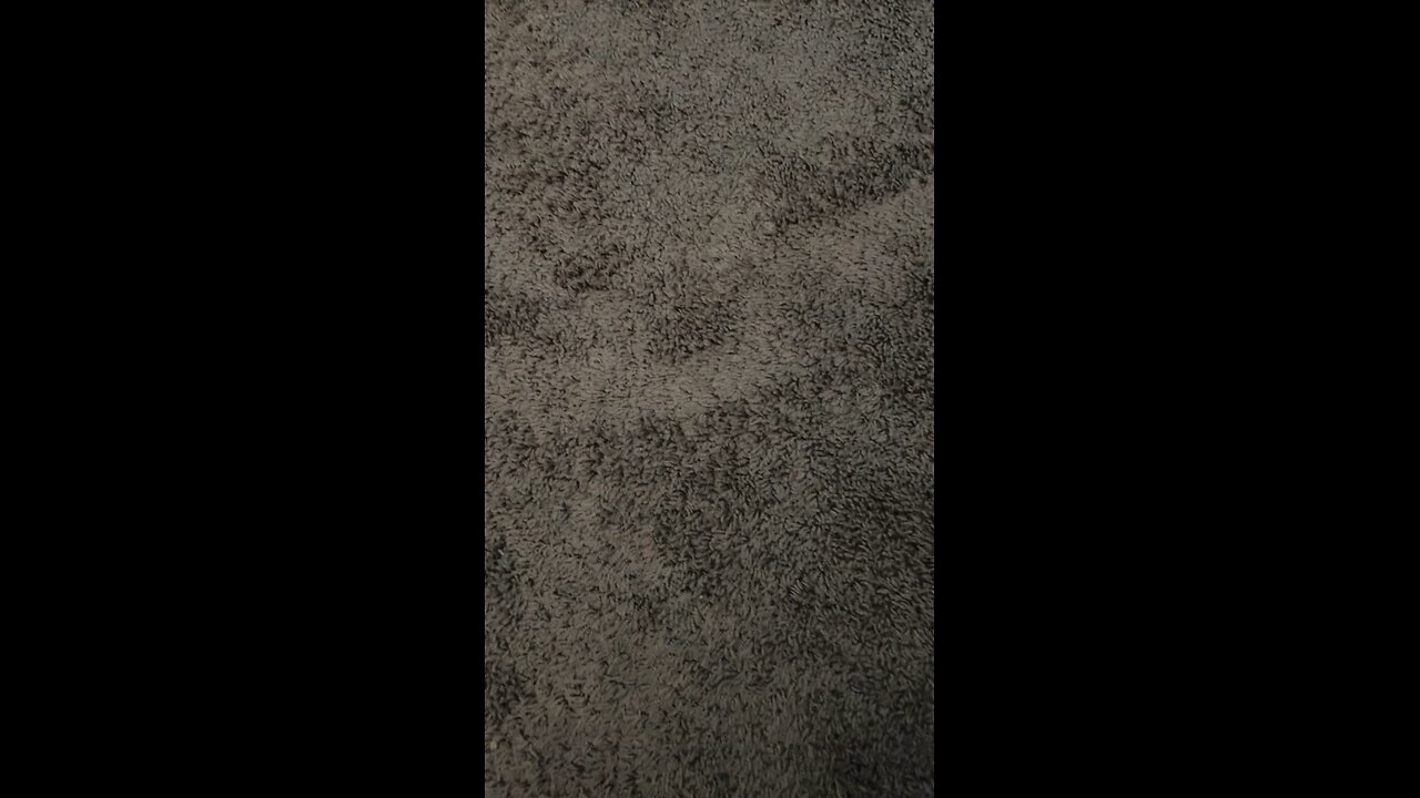 Test 5 primary and secondary