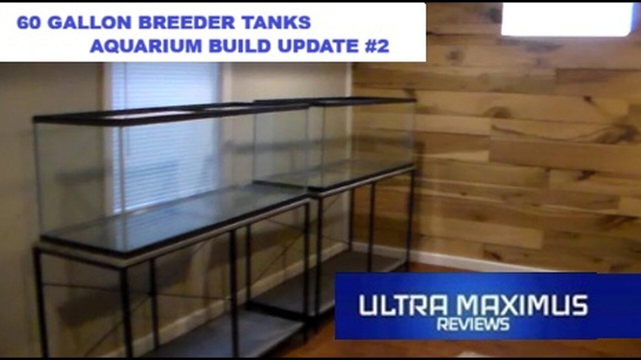 🐠 Dual Aquarium Build Update #2 | 60 Gallon Breeders