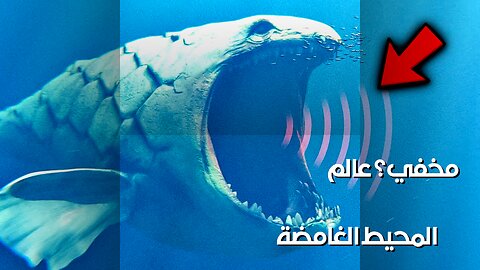Ocean's Bloop: Unexplained Sounds or Hidden World? ️