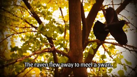 Whenever You Feel Sad In Life, Watch This | Best Motivational Story Of a Monk And Raven