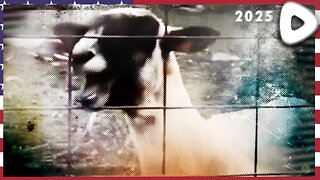 🟢 08-05-25 ||||| DEE EL CEE ||||| GoatSim w/ FP and crew.